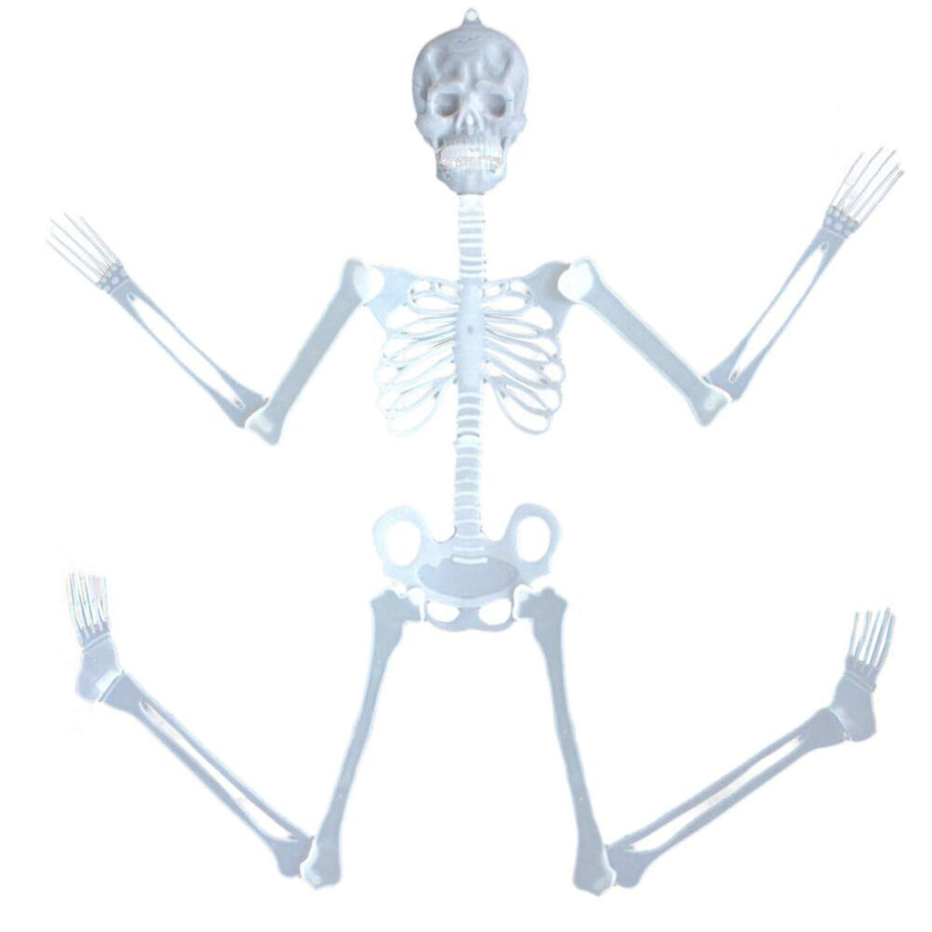 Darzheoy 35" Halloween Skeleton, Full Body Skeleton with Posable Movable Joints for Props Decorations
