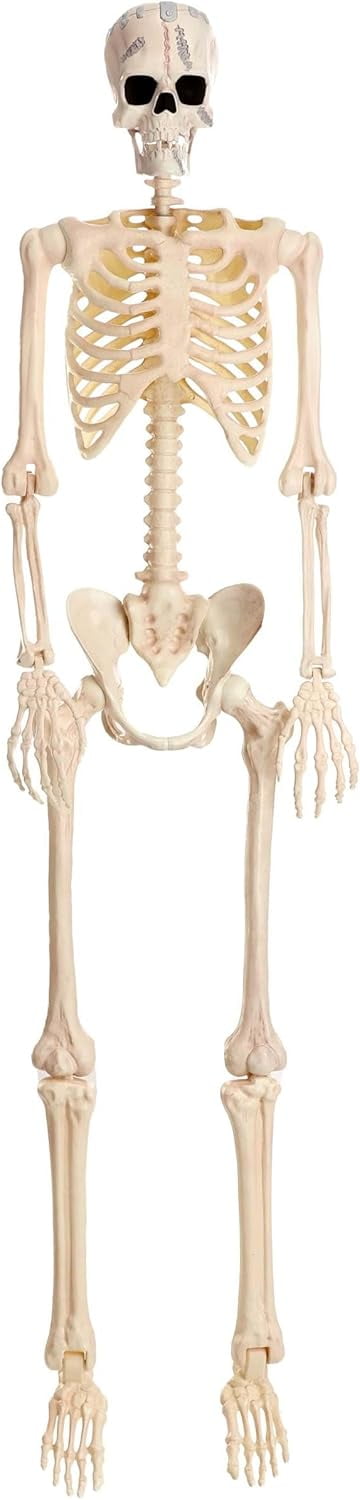 Foraging dimple 35.4" Poseable Frankenstein Halloween Skeleton Decoration | Skeleton Decorations | Monster Decor Standard