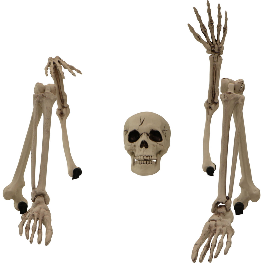 Haunted Hill Farm Life-size Groundbreaking Skeleton, Included Skull Head, Arms and Legs, Haunted House Halloween Decoration, HHGBSKEL-1GB