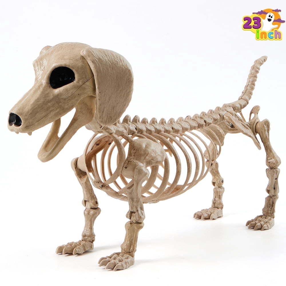 Joyfy 9.8 Inch Halloween Skeleton Dog Skeleton Halloween Decor,Pose-N-Stay Plastic Skeleton Bones with Posable Joints for Hallowmas Decoration Outdoor Haunted House Party