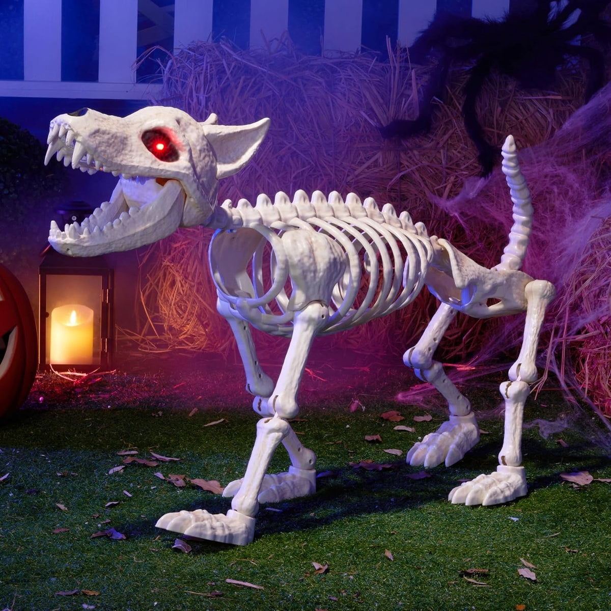 Joyfy 9.8 Inch Halloween Skeleton Dog Skeleton Halloween Decor,Pose-N-Stay Plastic Skeleton Bones with Posable Joints for Hallowmas Decoration Outdoor Haunted House Party