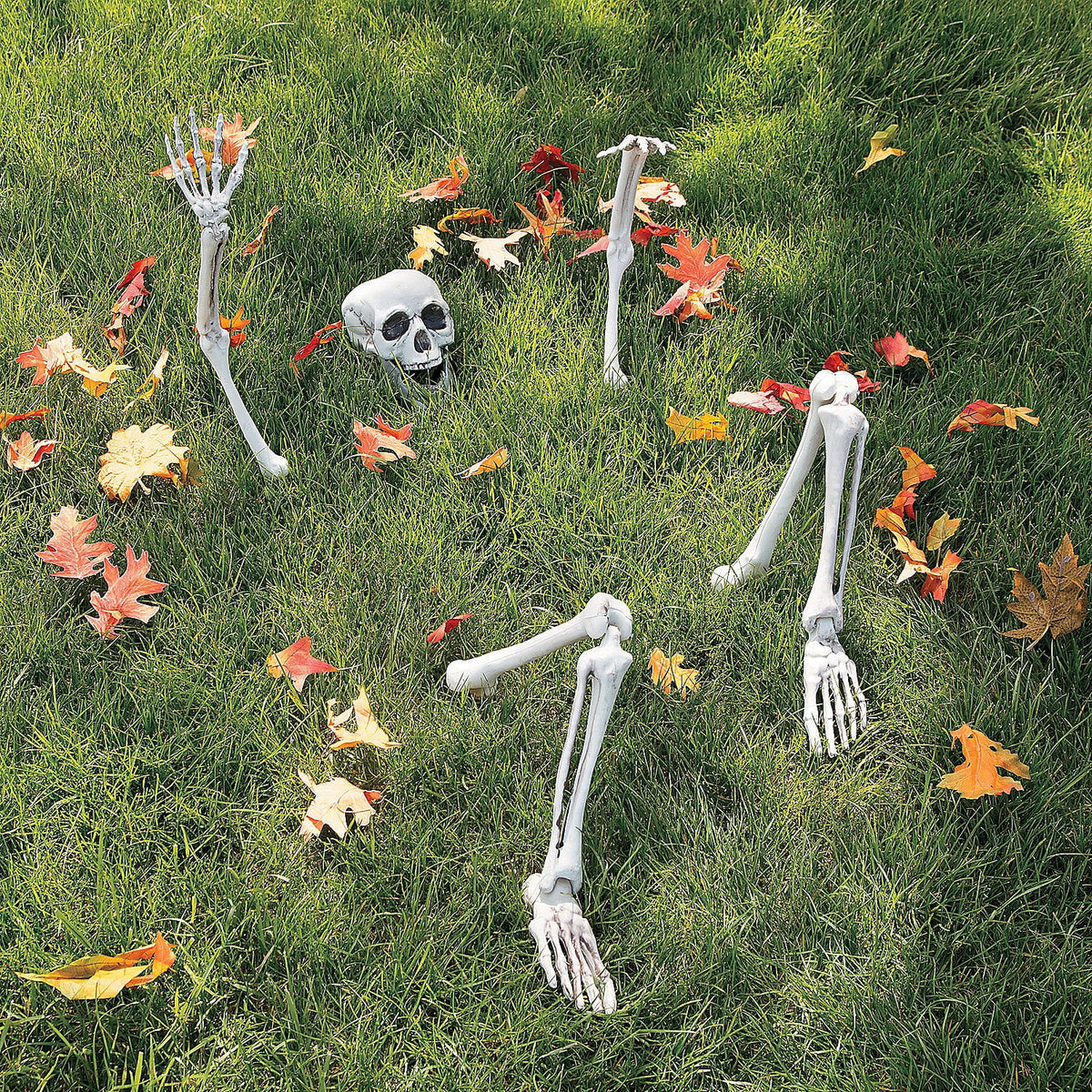 Lifesize Skeleton Yard Decor - Home Decor - 1 Piece