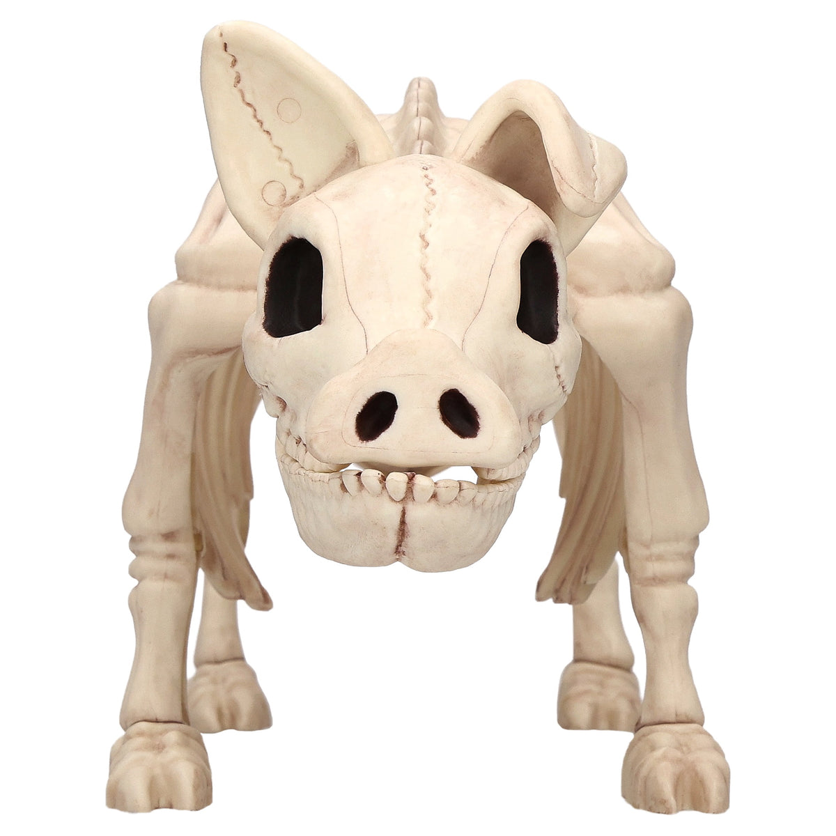 Faux Pig Skeleton Decoration, 6.5", Halloween by Way To Celebrate