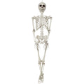 Realistic 36" Plastic Skeleton Halloween Décor