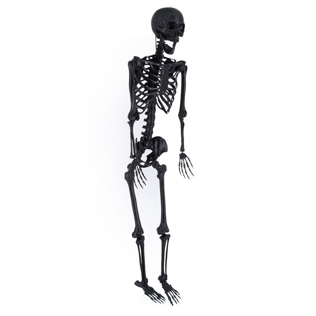 Cixusio 5.4Ft/165cm Halloween Skeleton Full Body Life Size Human Bones with Movable Joints for Indoor Outdoor Haunted House Party Halloween Props Decorations