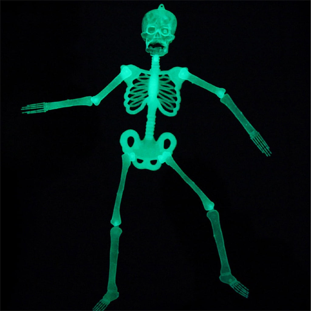 Darzheoy 35" Halloween Skeleton, Full Body Skeleton with Posable Movable Joints for Props Decorations