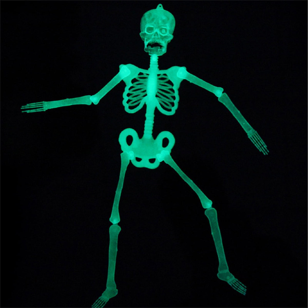 Darzheoy 35" Halloween Skeleton, Full Body Skeleton with Posable Movable Joints for Props Decorations
