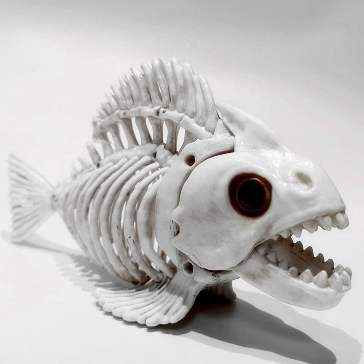 Skeleton Fish Halloween Decor Model, Animal Carp Skull Fishes Bone Art Ornaments, for Home Room B