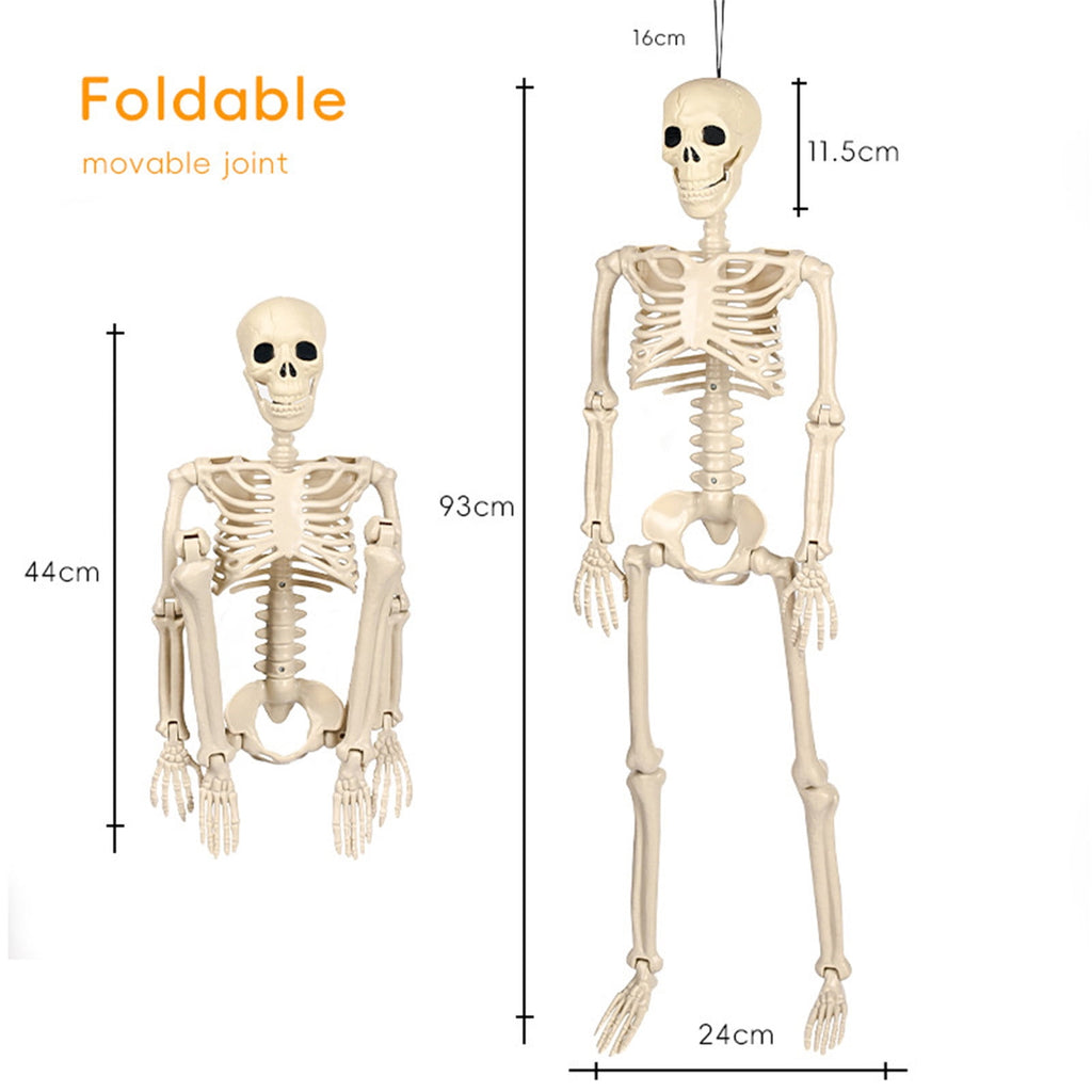 Coollooc Skeleton Halloween Decorations, 1.3Ft Realistic Full Body Movable Posable Joints Skeleton, Plastic Skeleton Decors for Halloween Party Haunted House Yard Supplies(A)
