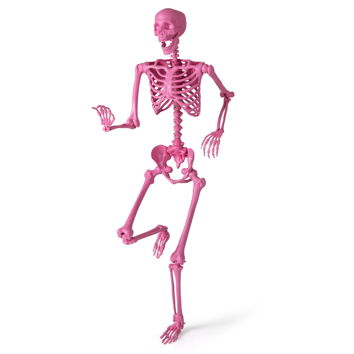 Costway 5.5 FT Poseable Halloween Skeleton Life-Size Decoration with Built-in Lights Green