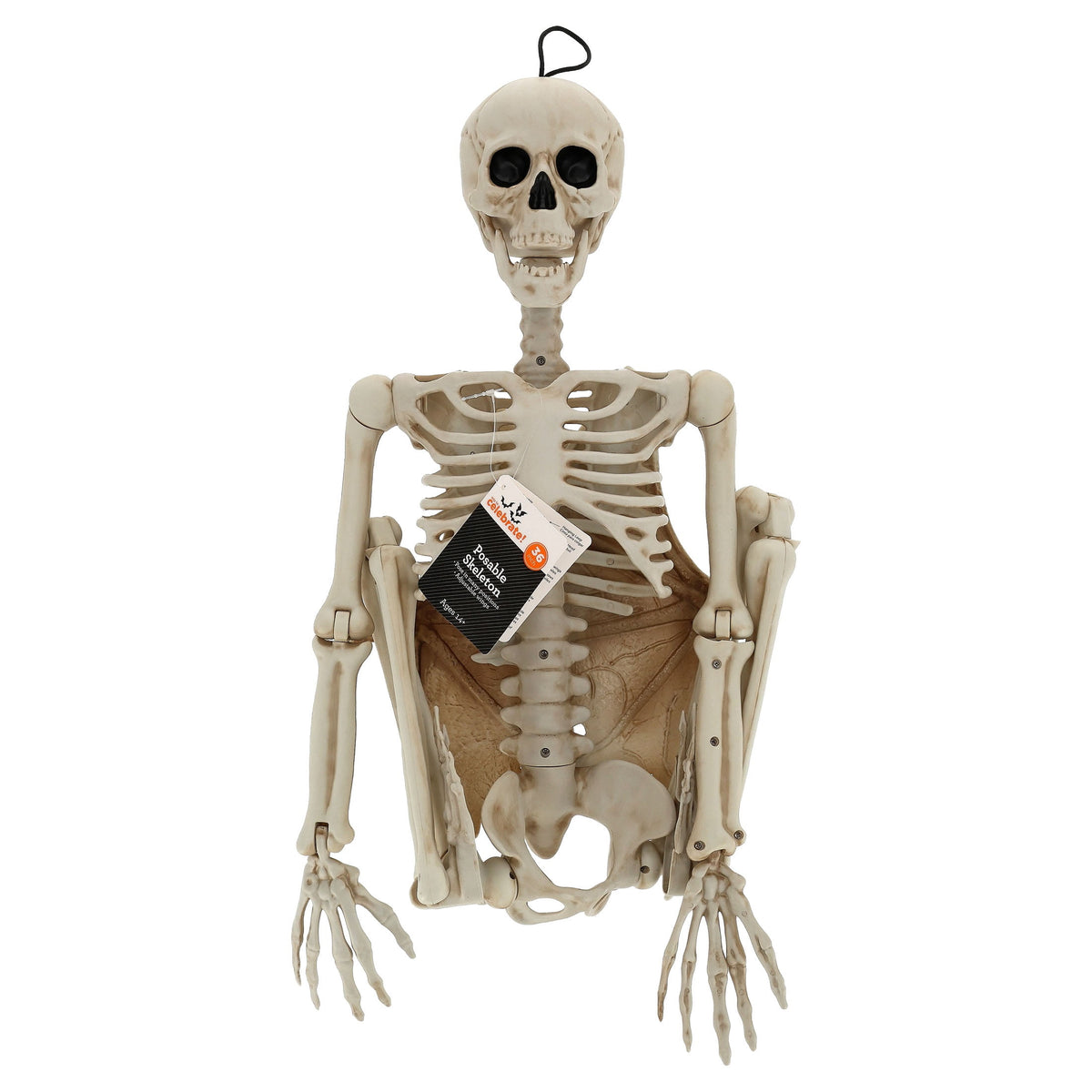 Faux Posable Winged Skeleton, 36", Halloween by Way To Celebrate