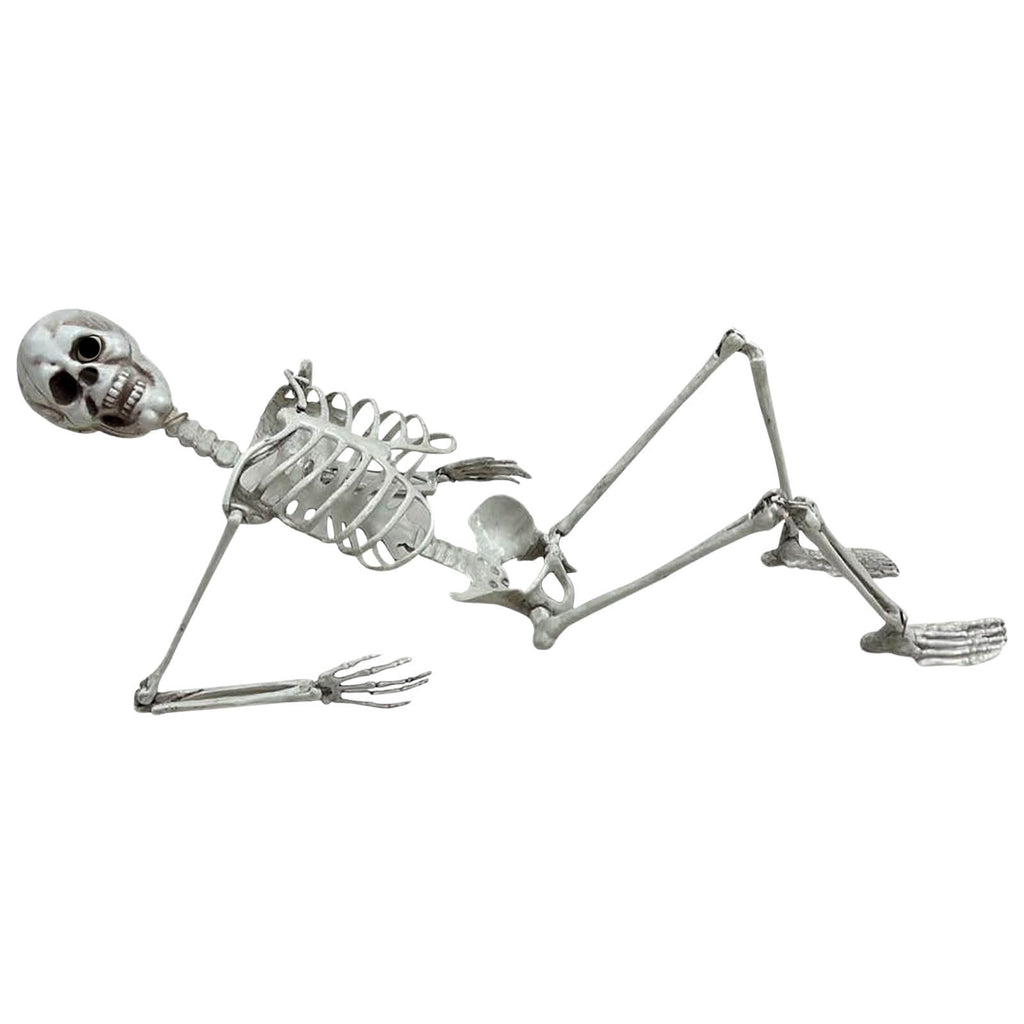 Diceymbol Life-Size Halloween Skeleton27.5Inch Tall Anatomical Model with Skull & Articulated Limbs, Durable Outdoor/Indoor Decoration for Spooky Displays