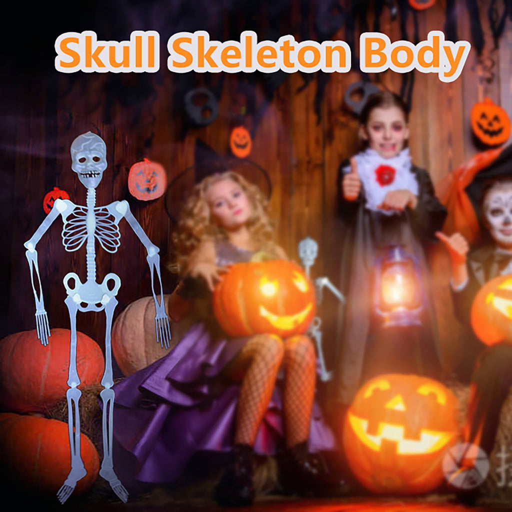 Darzheoy 35" Halloween Skeleton, Full Body Skeleton with Posable Movable Joints for Props Decorations