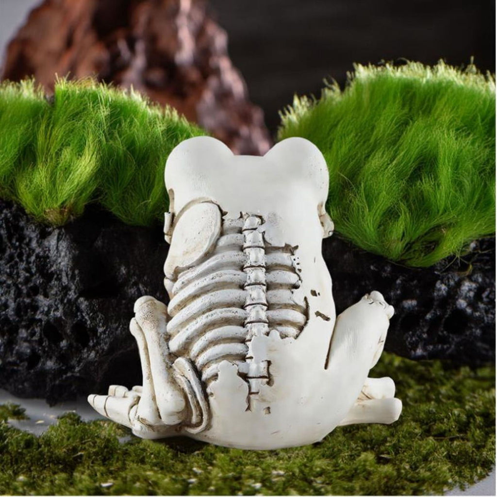 FNYOXU Halloween Skeleton, Animal Skeleton Halloween Decor, Skeleton Frog, Halloween Decoration for Home, Yard