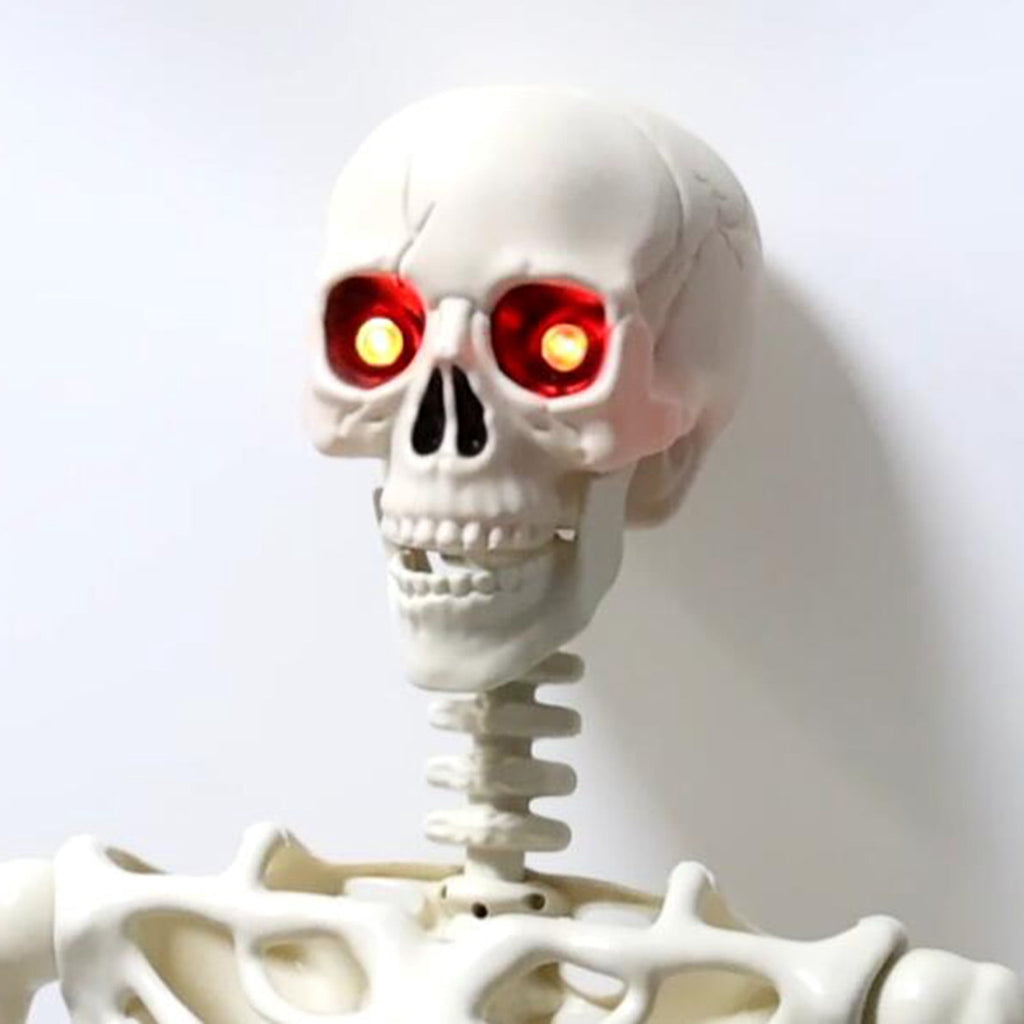 Yedigre 5.4FT HalloweenSkeleton Decor, Movable Joints Realistic Full Body Bones Skeleton Prop, No Light