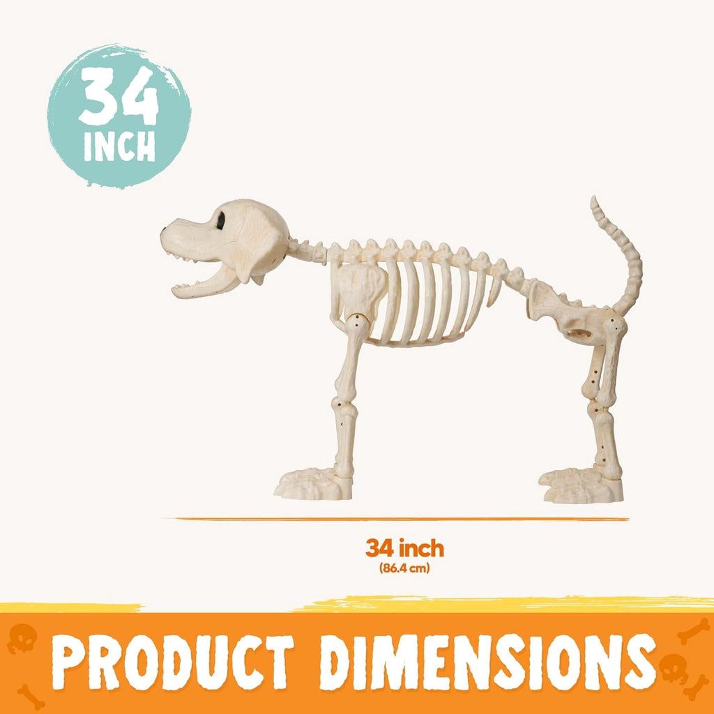 Joyfy 9.8 Inch Halloween Skeleton Dog Skeleton Halloween Decor,Pose-N-Stay Plastic Skeleton Bones with Posable Joints for Hallowmas Decoration Outdoor Haunted House Party
