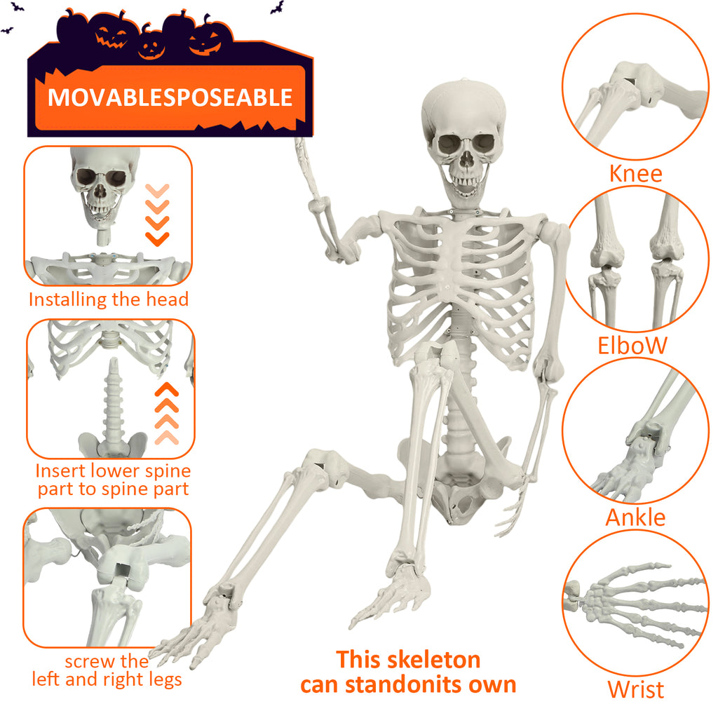 Cixusio 5.4Ft/165cm Halloween Skeleton Full Body Life Size Human Bones with Movable Joints for Indoor Outdoor Haunted House Party Halloween Props Decorations