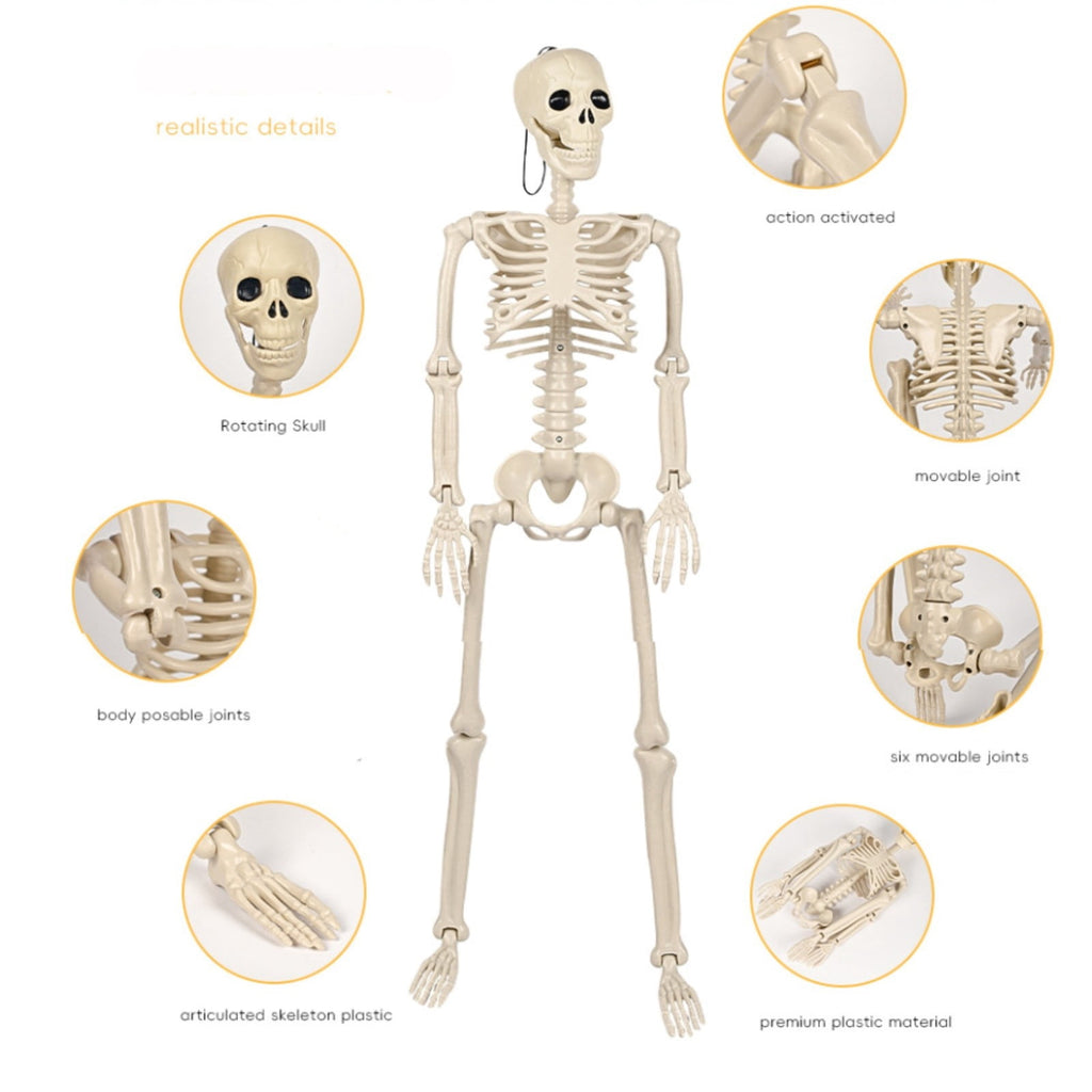 Plastic Posable Skeleton Model, 35.43in Halloween Skeleton Outdoor Decorations with Movable Joints for Escape Rooms, and Classrooms, Beige