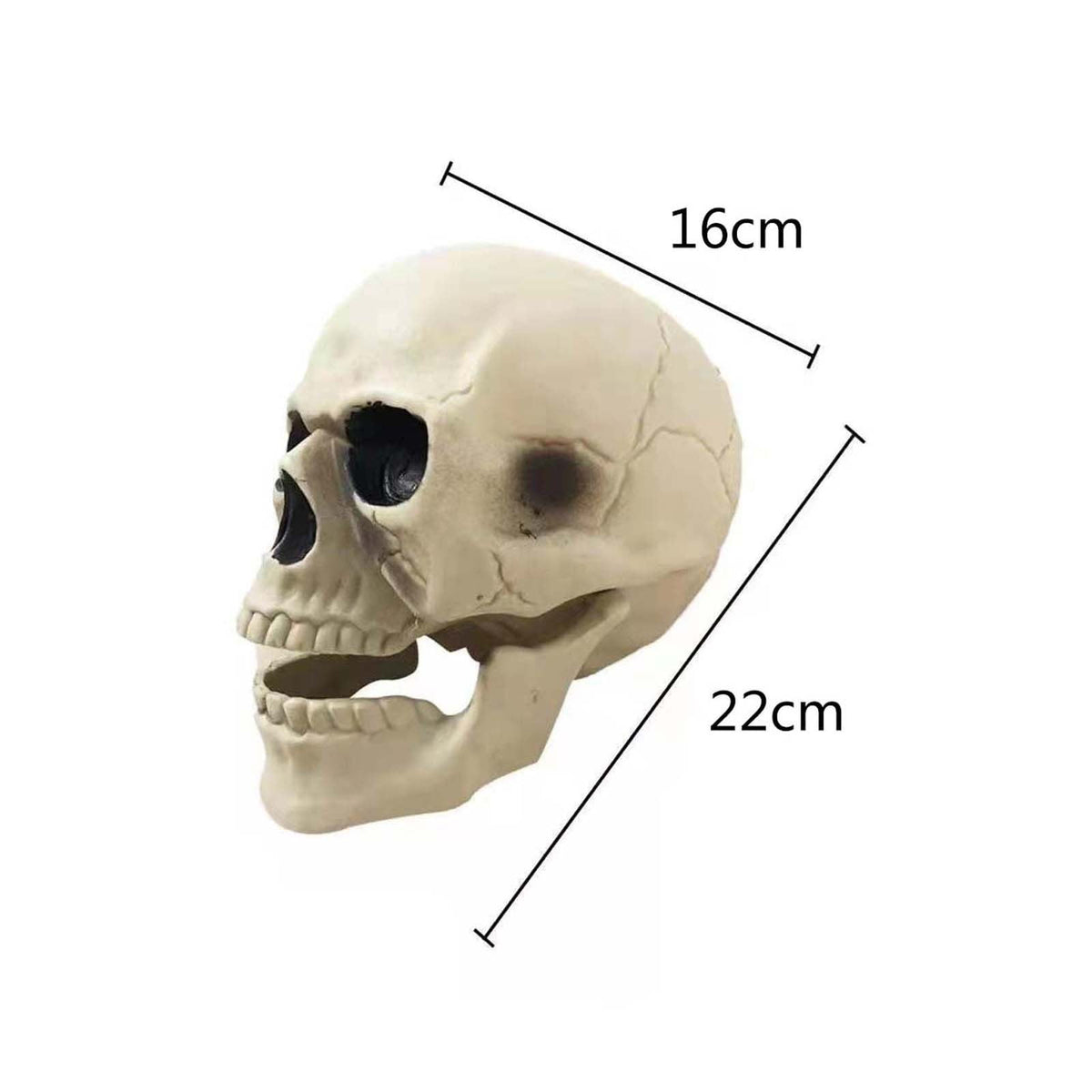 Clearance！ Looking Skeleton Stakes Garden Graveyard Yard Lawn Stakes Halloween Yard Decorations Ground Breaker Skeleton for Outdoor