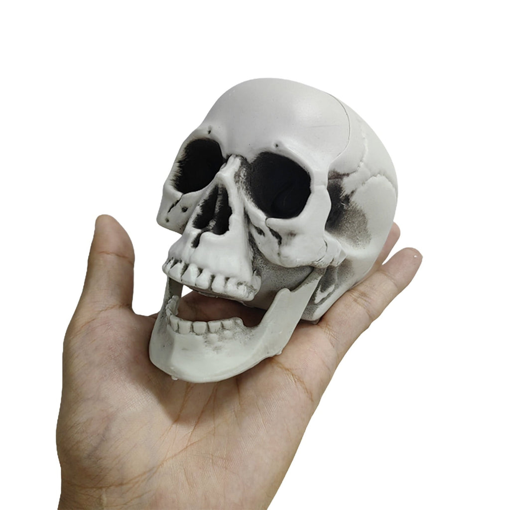 Darzheoy Halloween Skulls Halloween Skeletons Realistic Fake Simulation Human Skull Head Model Halloween Prop Realistic Mini Skeleton Spooky Halloween Decoration
