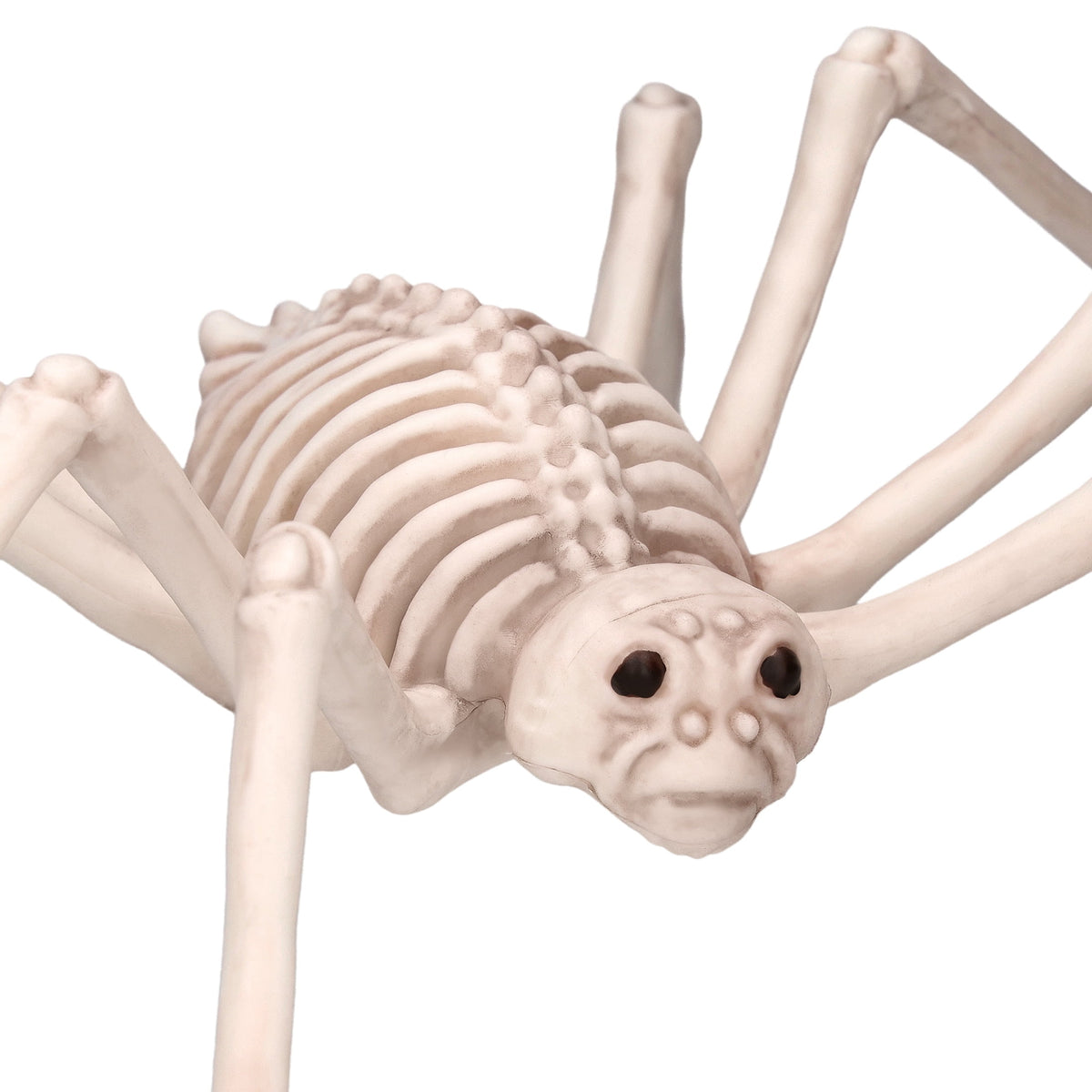 Faux Skeleton Spider Decoration, 5.3", Halloween by Way To Celebrate