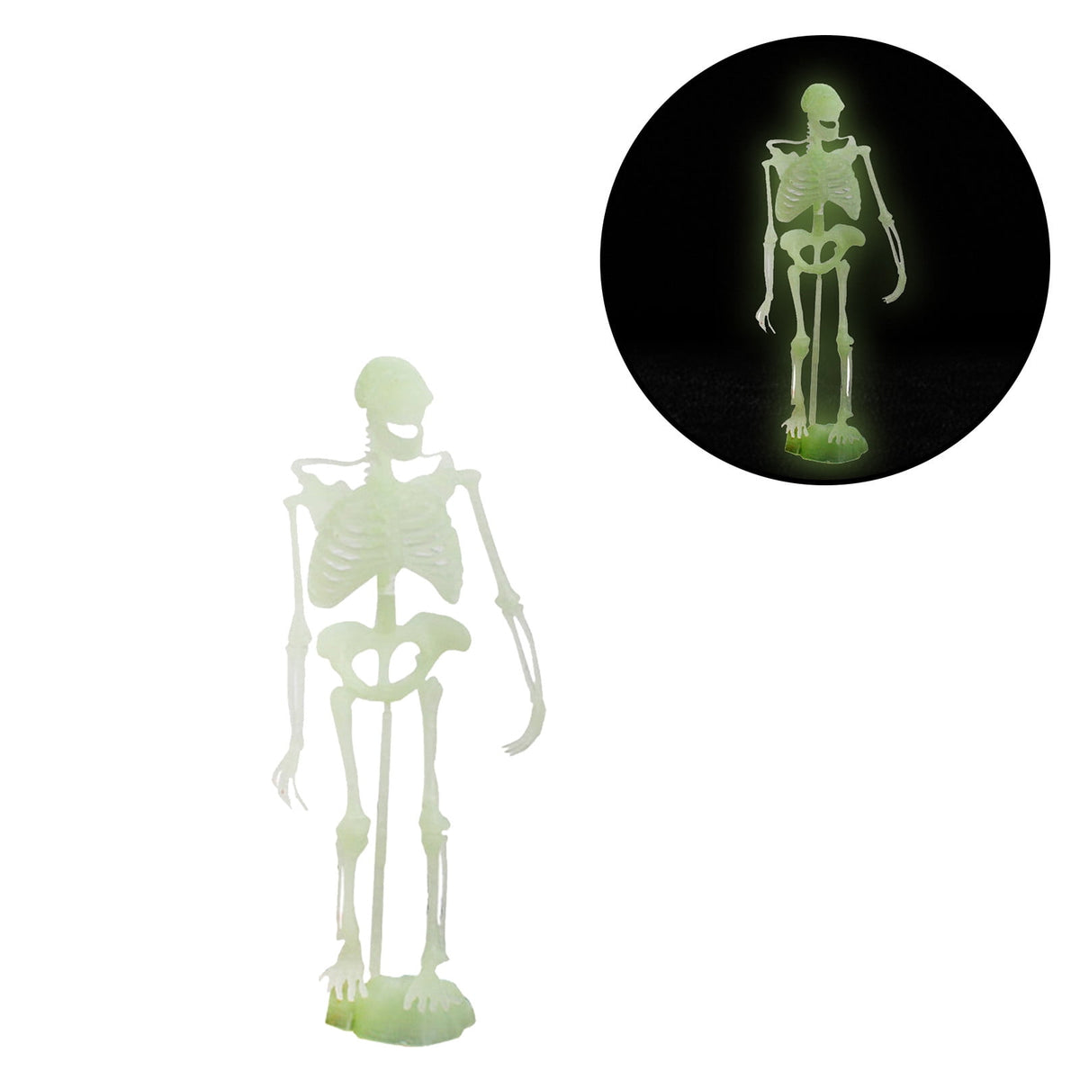 Gqtwoy 6Pcs Noctilucent Dinosaur Human Skeleton Model, Glow-in-the-Dark Skull Toy for Halloween Party, Spooky Bones Decor for Home & Office, Ideal for Haunted House & Holiday Decorations