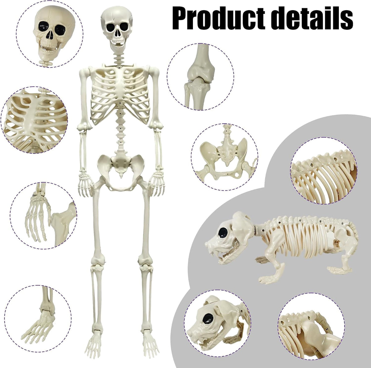 Seravin 2pcs Skeleton and Dog Skeleton Halloween Decorations Posable Skeletons Halloween Decorations Indoor Outdoor