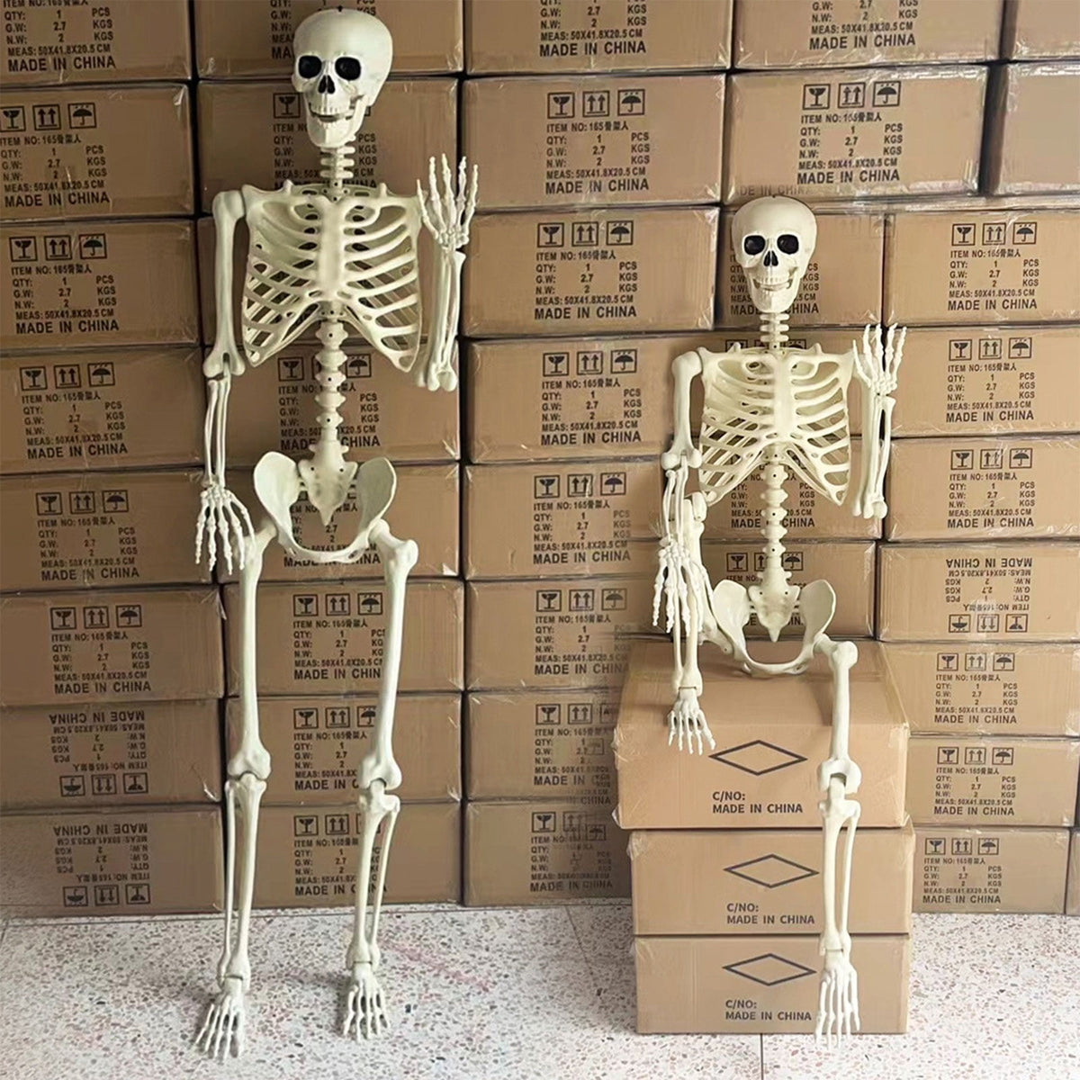 Poseable Halloween Skeleton with Flexible Joints, Sturdy Indoor/Outdoor Party Decor