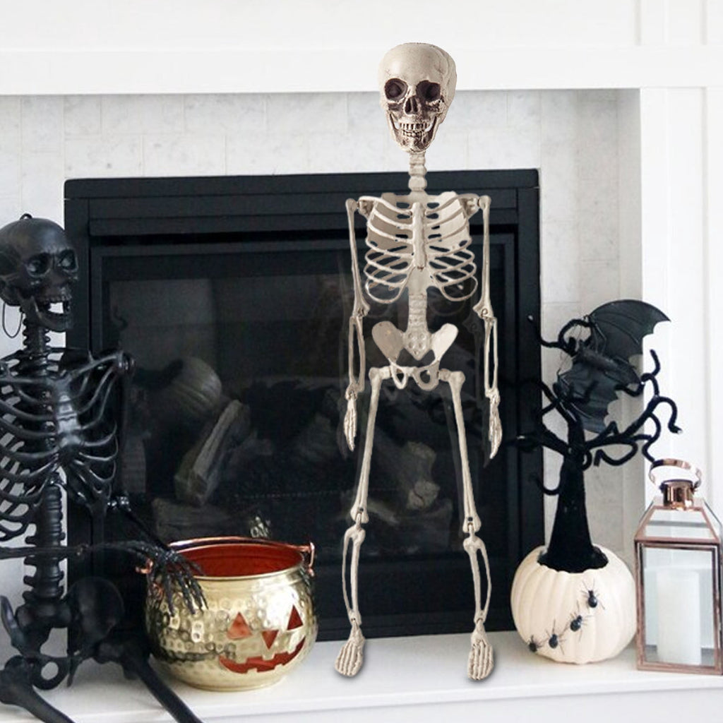 Beollynier 27.5in Detachable Skeleton Model Anatomy Educational Tool Resin Material for Halloween Desk Decor Human Body Teaching Prop