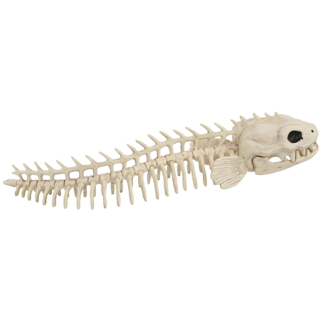 Seasons USA Eel Skeleton Prop Halloween Decoration -