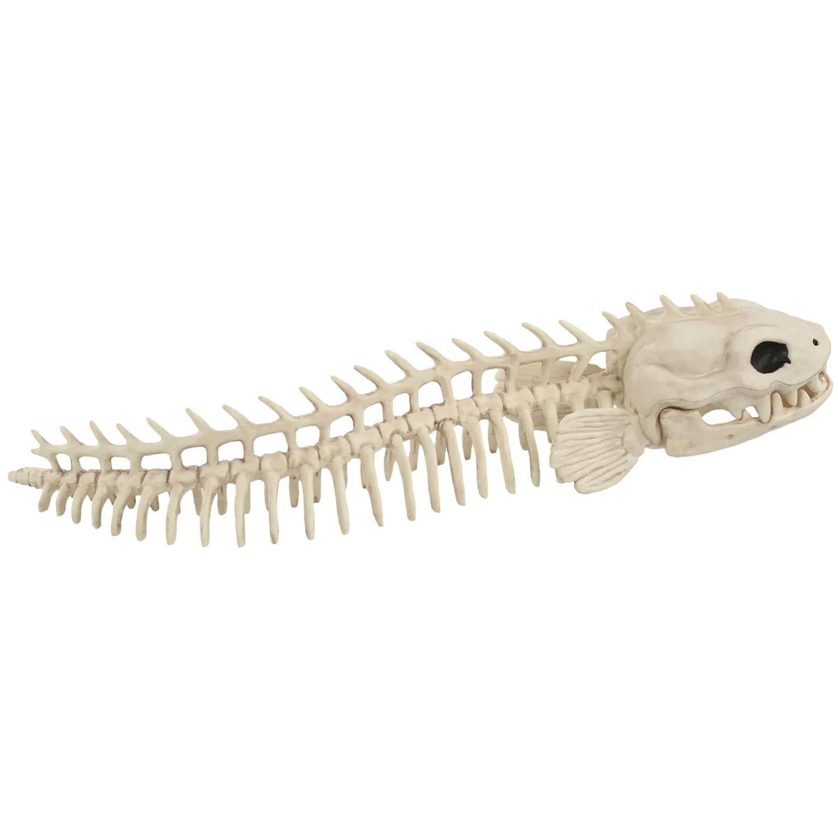 Seasons USA Eel Skeleton Prop Halloween Decoration -