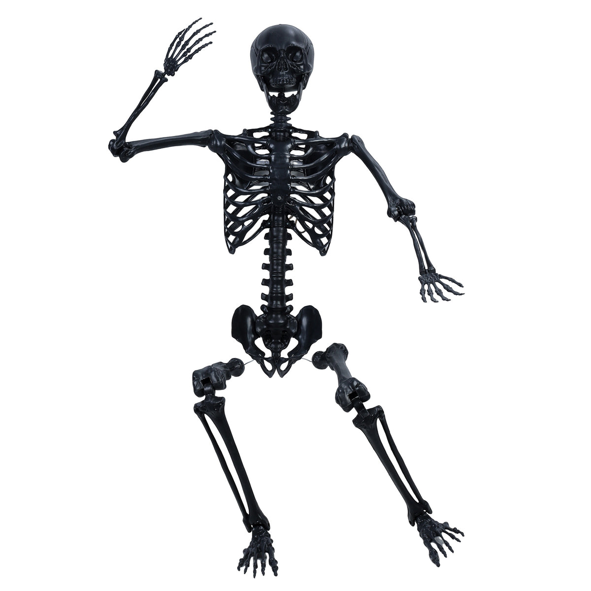 Cixusio 5.4Ft/165cm Halloween Skeleton Full Body Life Size Human Bones with Movable Joints for Indoor Outdoor Haunted House Party Halloween Props Decorations