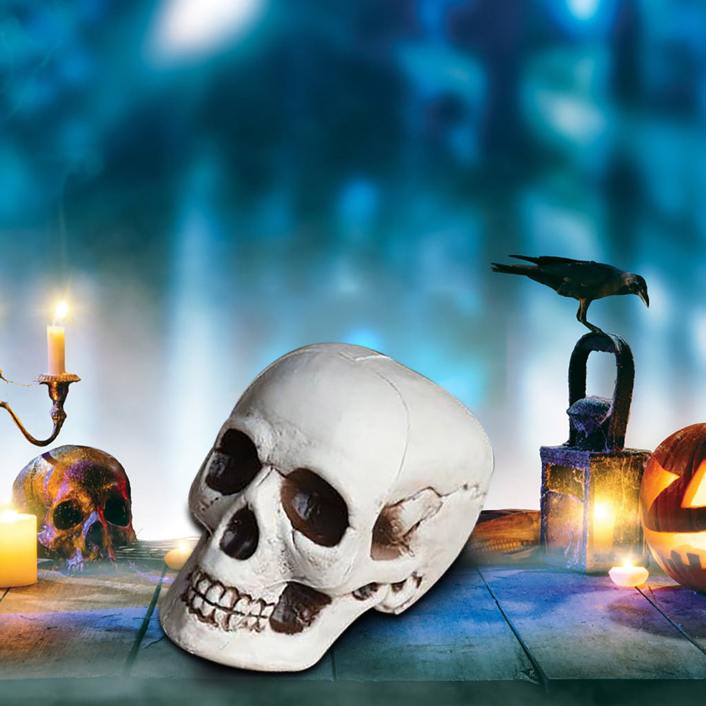Darzheoy Halloween Skulls Halloween Skeletons Realistic Fake Simulation Human Skull Head Model Halloween Prop Realistic Mini Skeleton Spooky Halloween Decoration