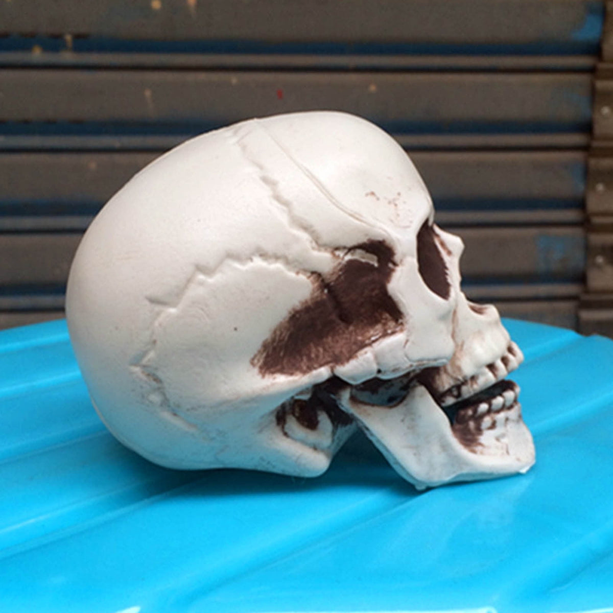 JoyMoreHome Halloween Skull Model Skeleton Halloween Outdoor Decoration Props Halloween Party Supplies