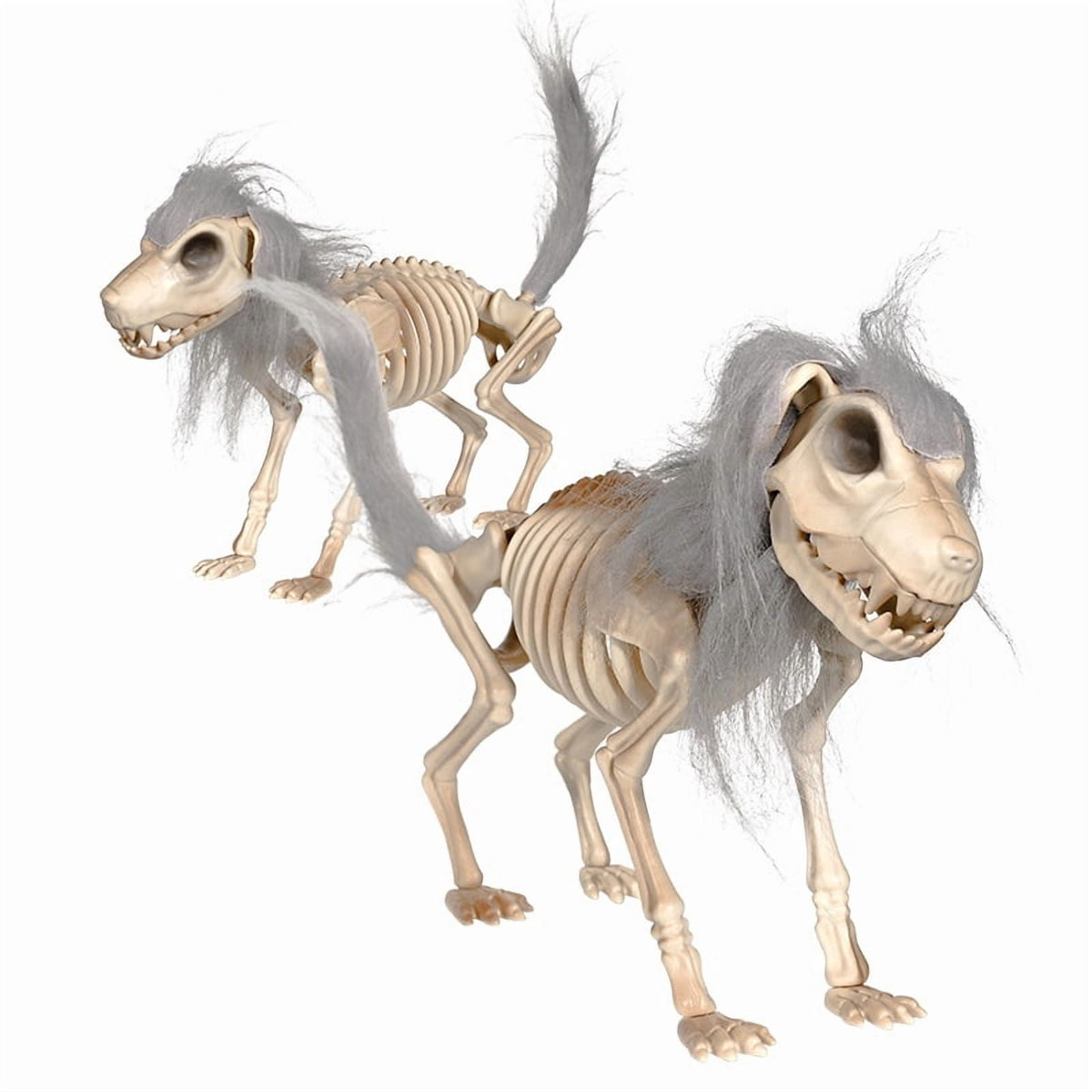 14.9 inches Sitting Skeleton Dog,Plastic Hairy Animal Skeleton Decorations,Gothic Posable Dog Body, Spooky Party Favors,Halloween Full Body Posable Joints Hairy Dog Skeleton Graveyard Party Decor