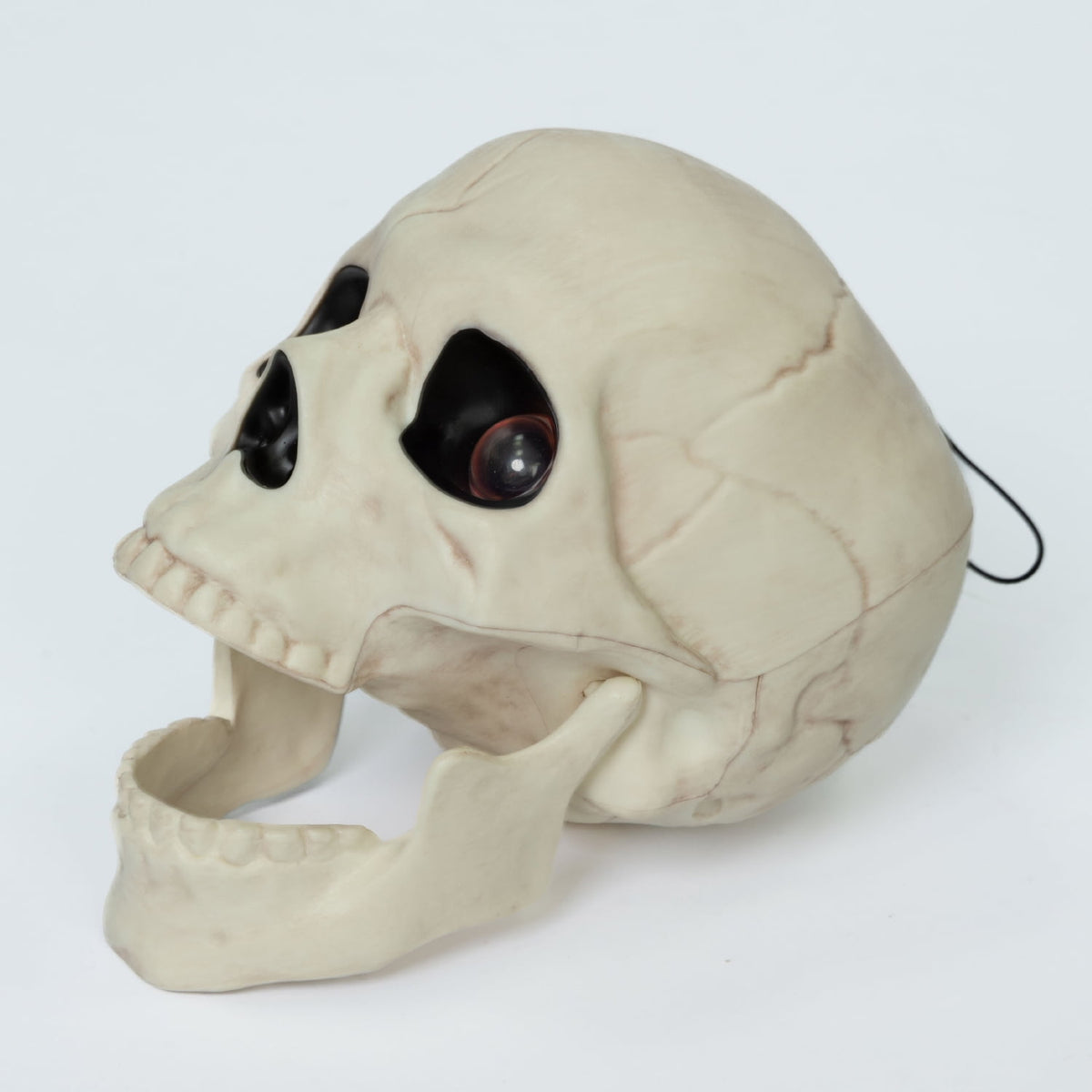Seasons 5.8" Skull Skeleton Halloween Decoration Crazy Bonez Skeleton Line Sound and Light