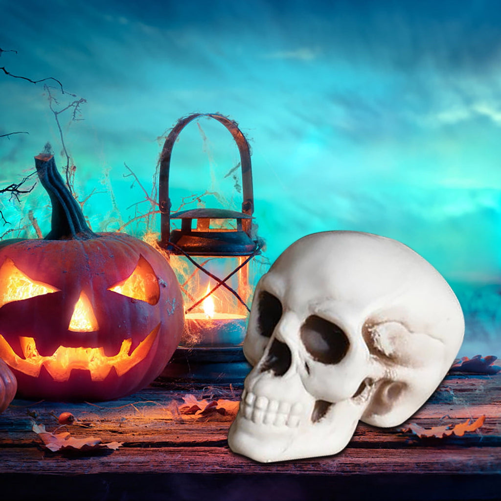 Halloween Skeletons Plastic Realistic Fake Simulation Human Skull Head Bone Model for Home Living Room, Bedroom, Courtyard, Patio,Party Decoration