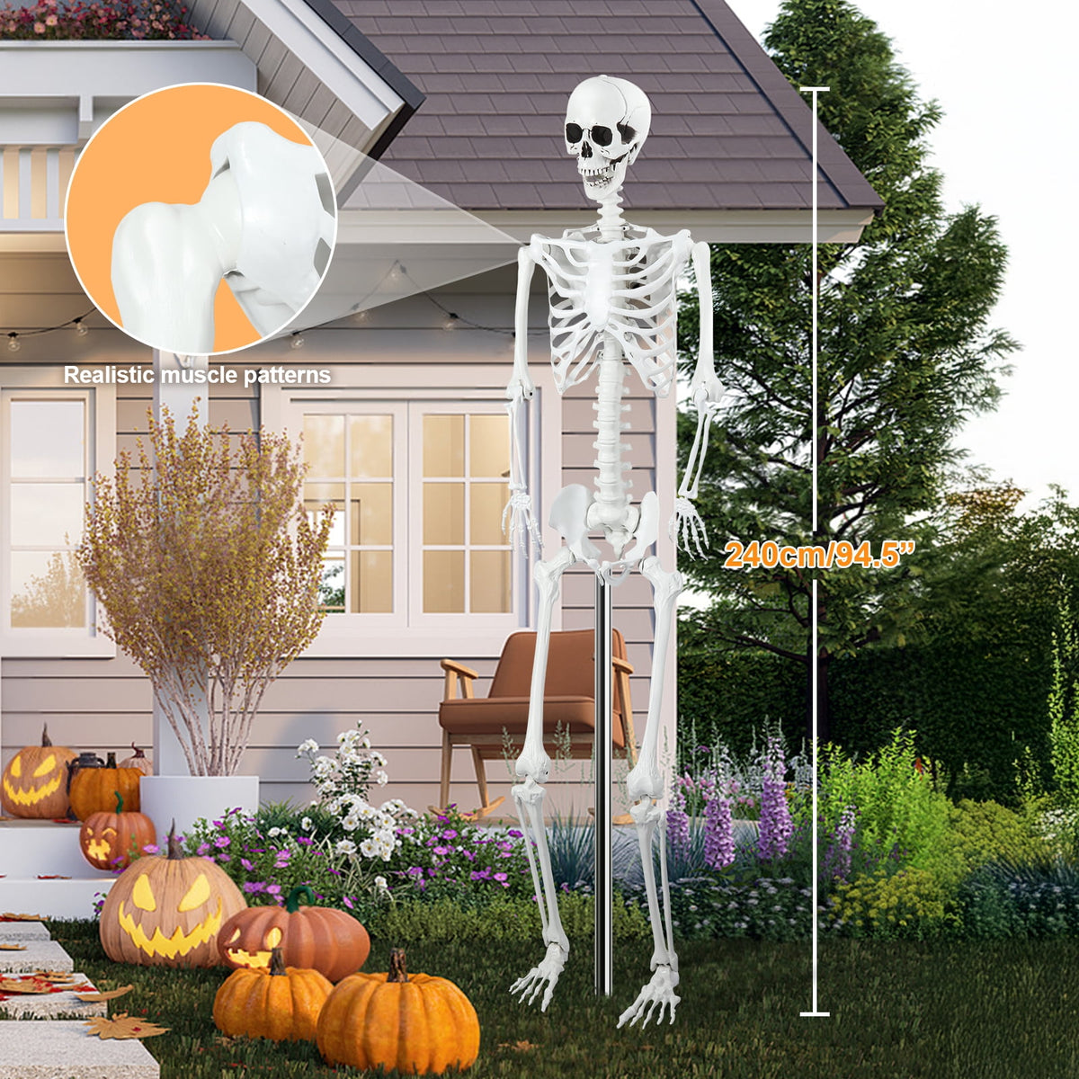 Cixusio 5.4Ft/165cm Halloween Skeleton Full Body Life Size Human Bones with Movable Joints for Indoor Outdoor Haunted House Party Halloween Props Decorations