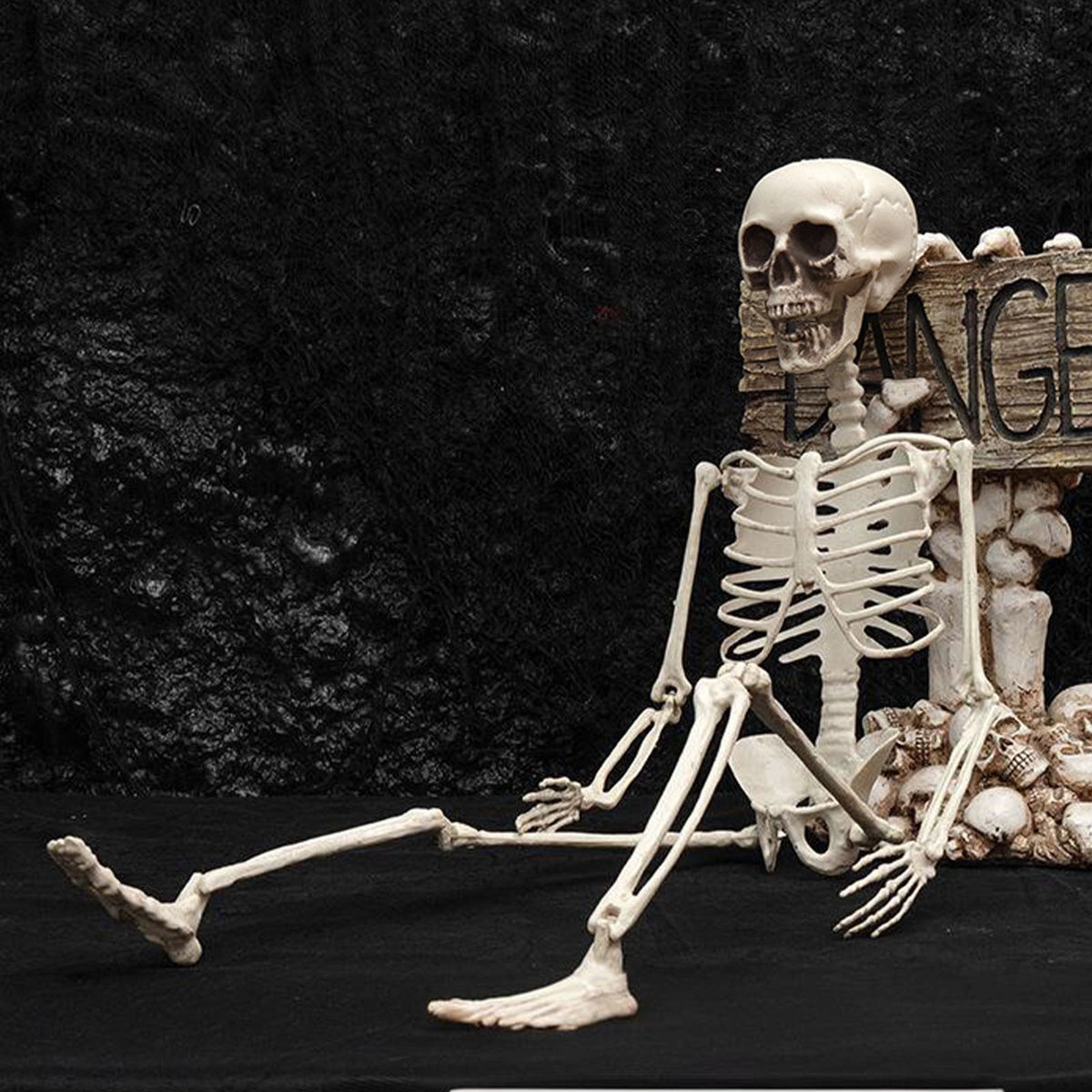 Beollynier 27.5in Detachable Skeleton Model Anatomy Educational Tool Resin Material for Halloween Desk Decor Human Body Teaching Prop