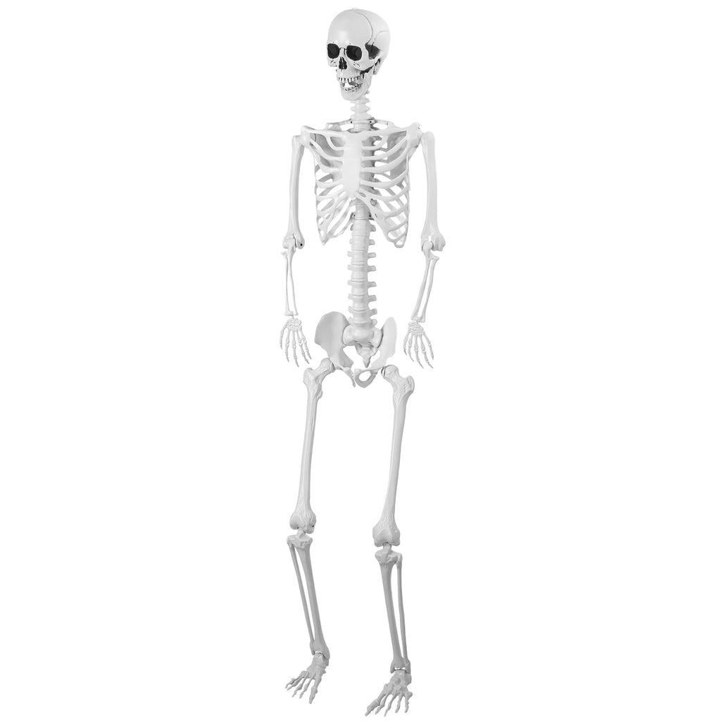 Cixusio 5.4Ft/165cm Halloween Skeleton Full Body Life Size Human Bones with Movable Joints for Indoor Outdoor Haunted House Party Halloween Props Decorations