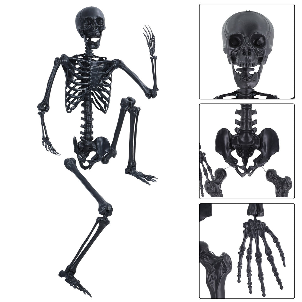 Cixusio 5.4Ft/165cm Halloween Skeleton Full Body Life Size Human Bones with Movable Joints for Indoor Outdoor Haunted House Party Halloween Props Decorations