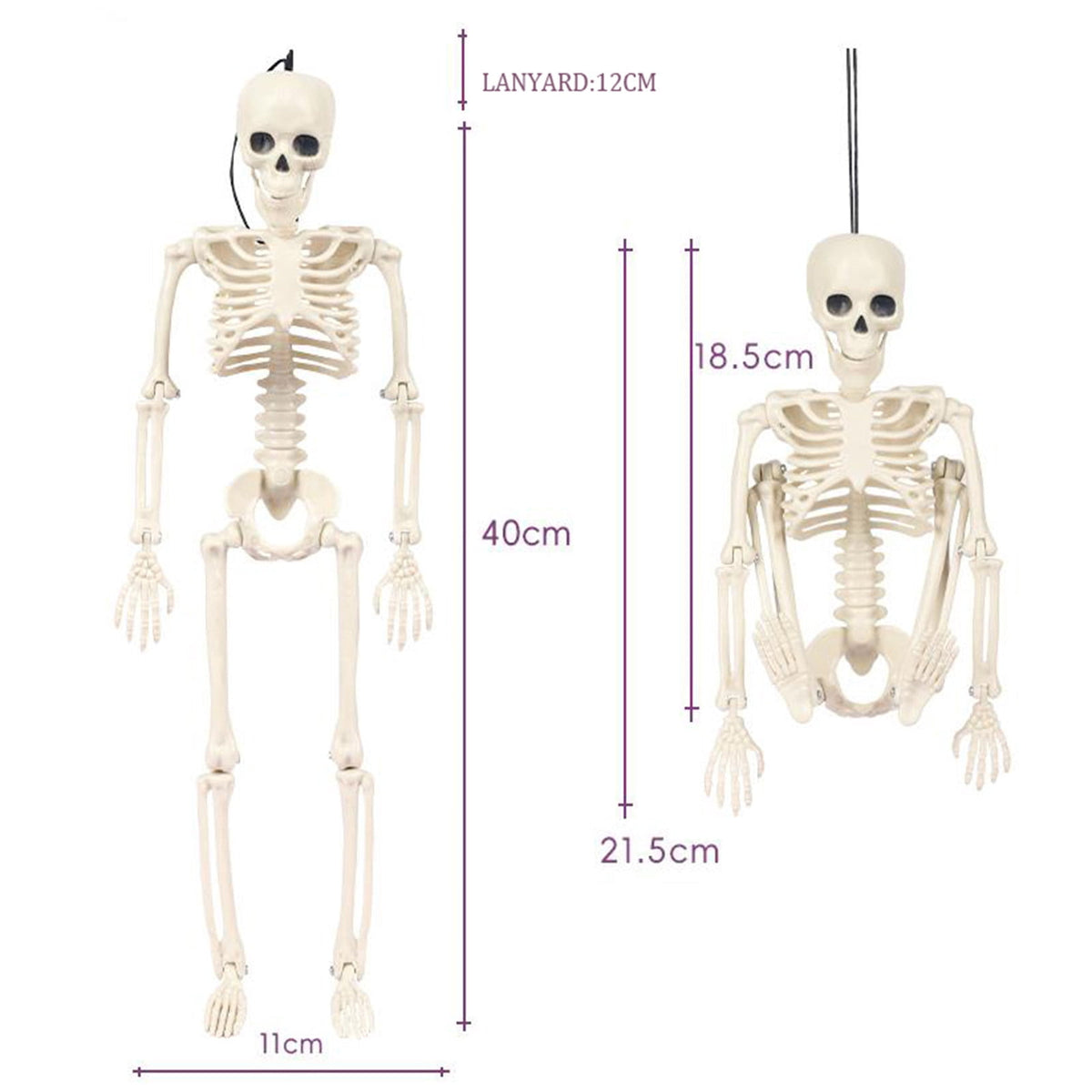 Coollooc Skeleton Halloween Decorations, 1.3Ft Realistic Full Body Movable Posable Joints Skeleton, Plastic Skeleton Decors for Halloween Party Haunted House Yard Supplies(A)